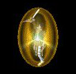 ʦħܽ