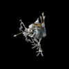 ù