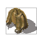 ɭѩ0