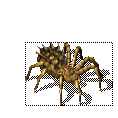 ֩0