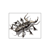 аǯ9