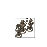 ¶ħ