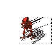 þ