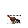 漦
