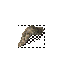 涴