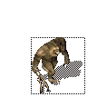 ๳è