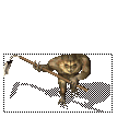 涤è
