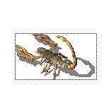 Ы