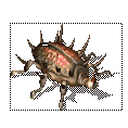 Ͷǳ1